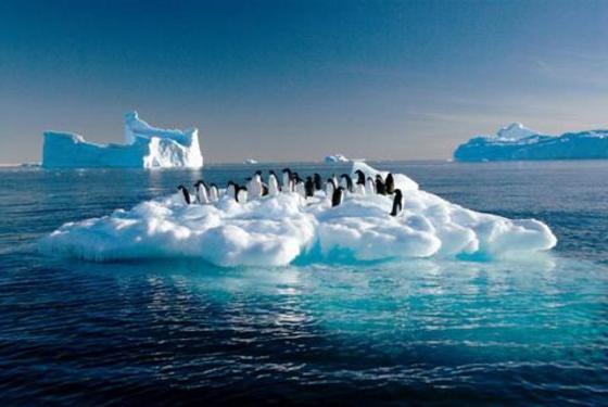 地球暖化已經非常嚴重,氣候異象海平面上升會滅絕生物,支持綠能白蝦,低碳白蝦,發綠電對抗地球暖化