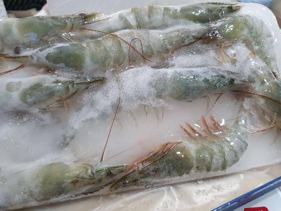 市售打水冰的白蝦。眼鏡伯白蝦無打水冰，方便料理取用
