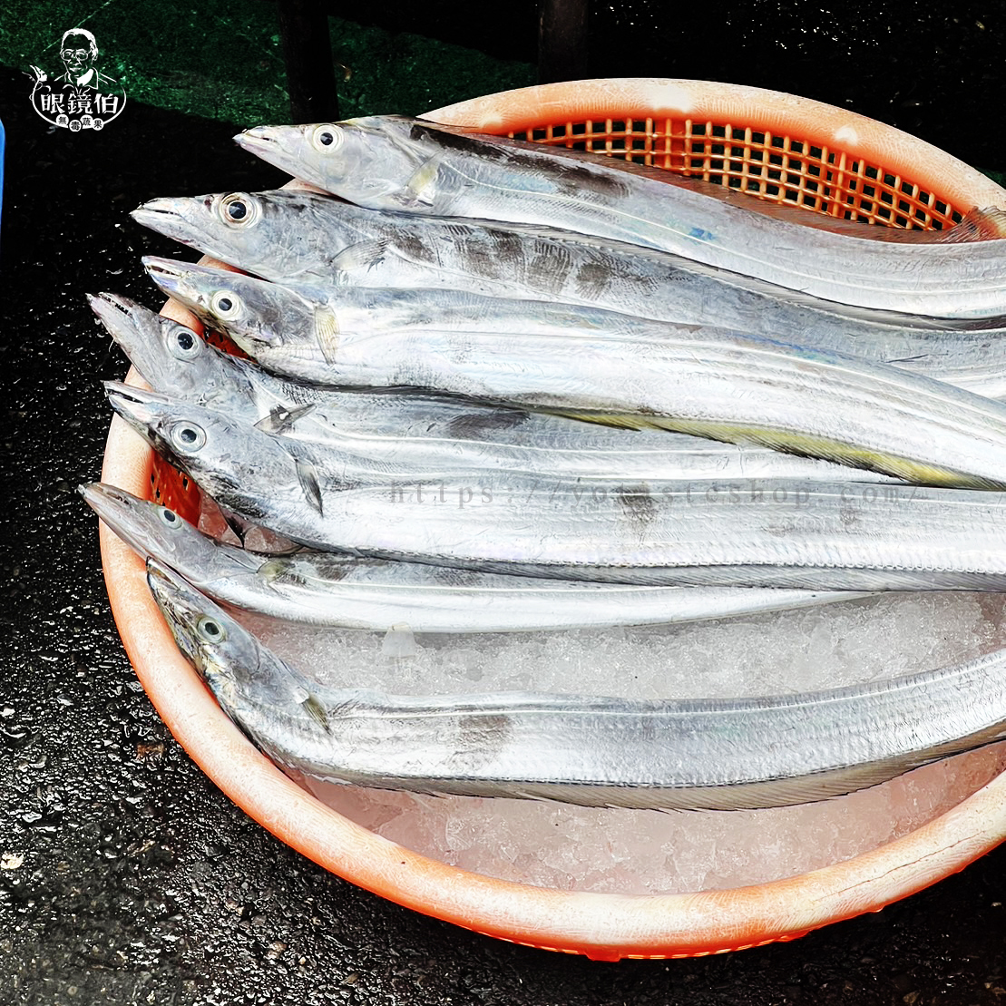 市場海帶魚處理麻煩可選擇眼鏡伯冷凍白帶魚盒裝方便拆待白帶魚料理方便