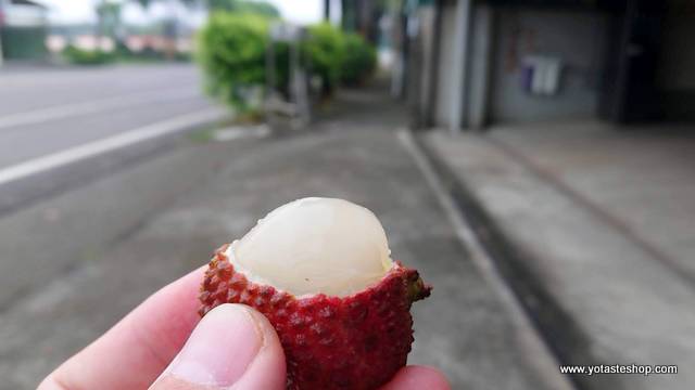 Taiwan fruits Lychee to Japan