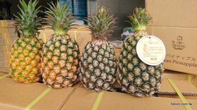 taiwan pineapple to japan