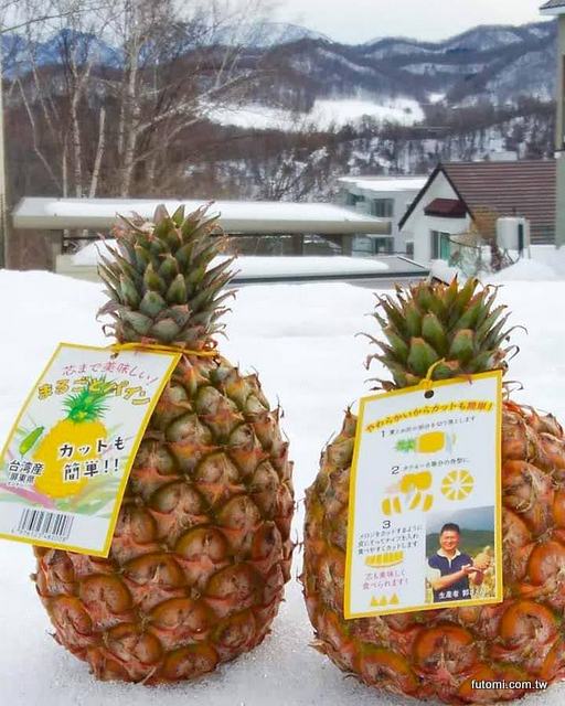 眼鏡伯鳳梨宅配日本