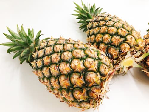 金鑽鳳梨｜眼鏡伯